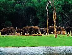 Nameri National Park Tour